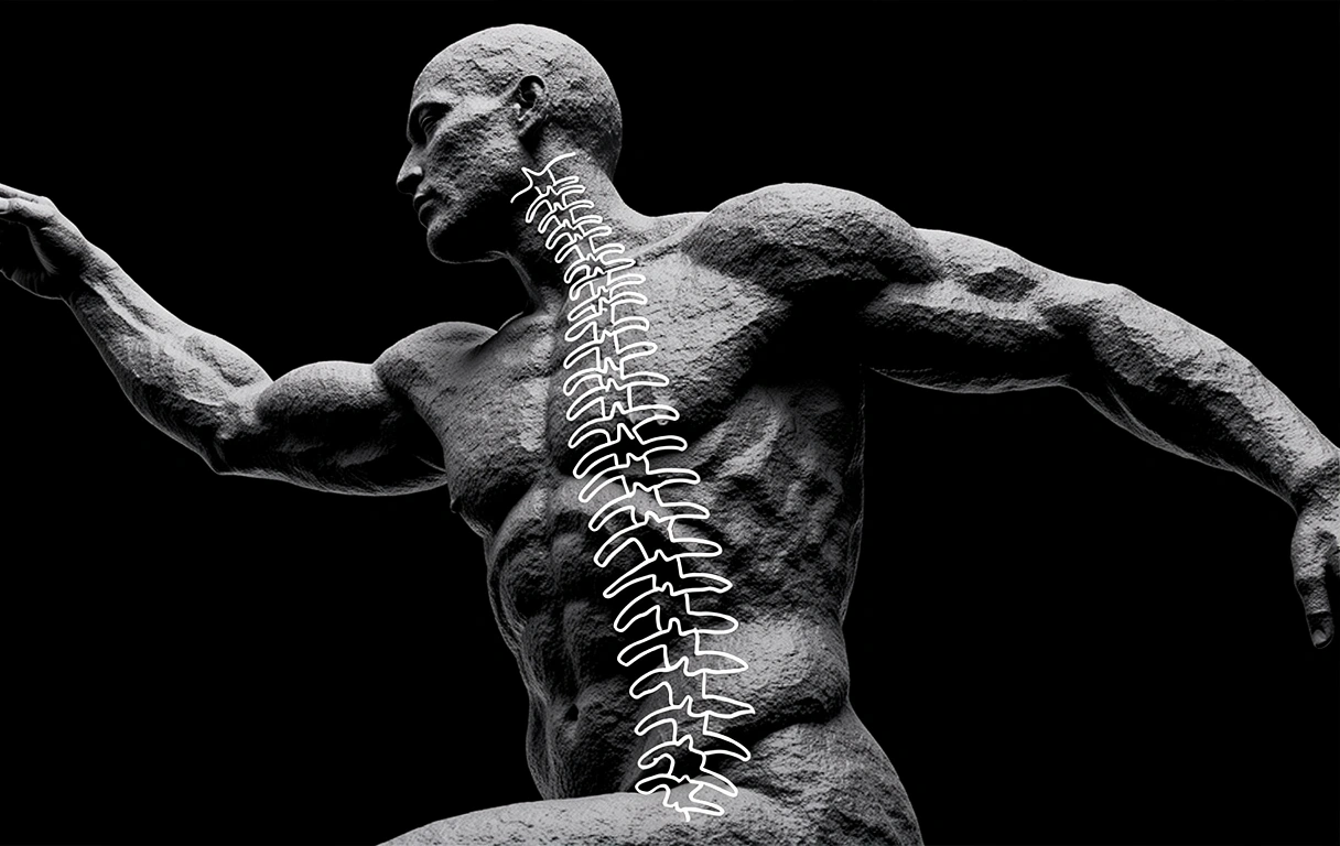 Anatomical movement study